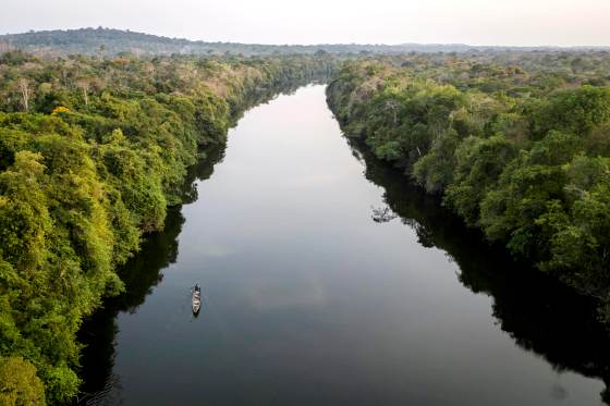La deforestación en la Amazonía brasileña cae a su menor nivel en casi 40 años