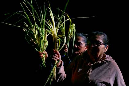Arzobispo en Honduras pide no reducir la Semana Santa a un "acto cultural o vacacional"