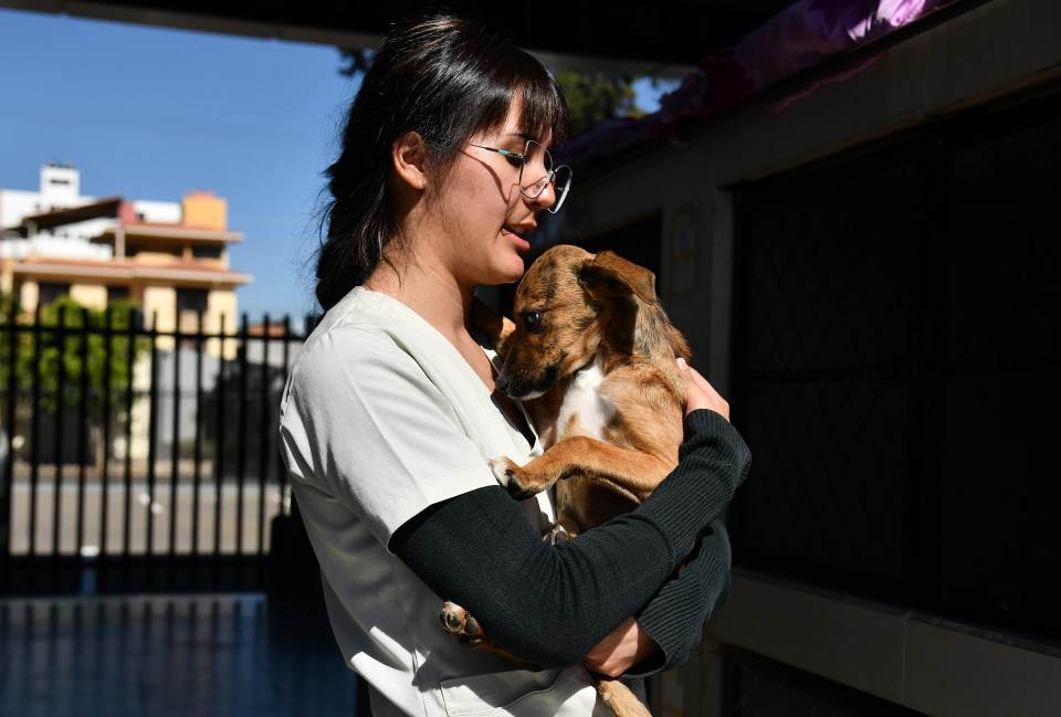 La primera clínica pública para mascotas de Bolivia se inaugura en el corazón del país