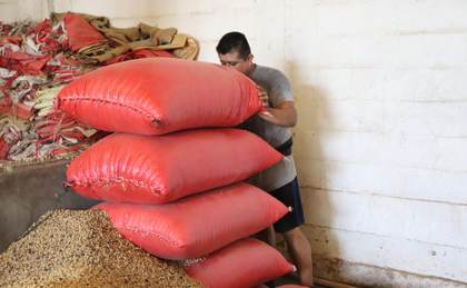 Productores alertan por crisis en campo mexicano ante la revisión anual del T-MEC