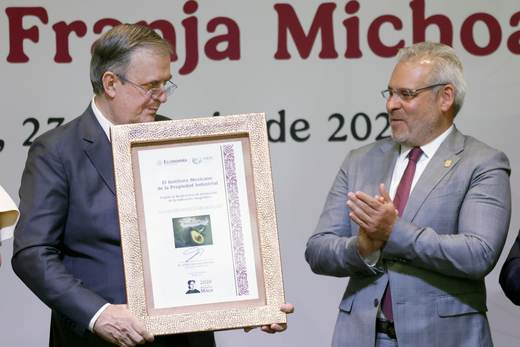 México protege al aguacate Franja Michoacán con indicación geográfica