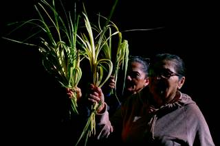 Arzobispo en Honduras pide no reducir la Semana Santa a un "acto cultural o vacacional"