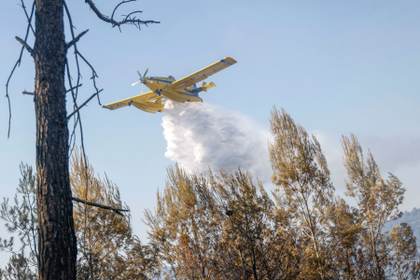 España trabaja para extinguir múltiples incendios, con especial atención en Cataluña