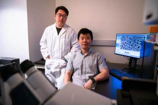 Una nueva terapia de ARN podría ser clave para tratar numerosas enfermedades genéticas