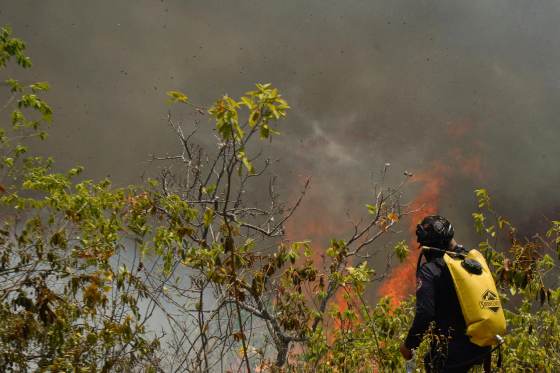 Gobierno colombiano hará un plan de recuperación ambiental en zona afectada por incendios