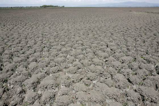 La COP17 cierra sin pacto de sequía, pero moviliza 1.300 millones de dólares