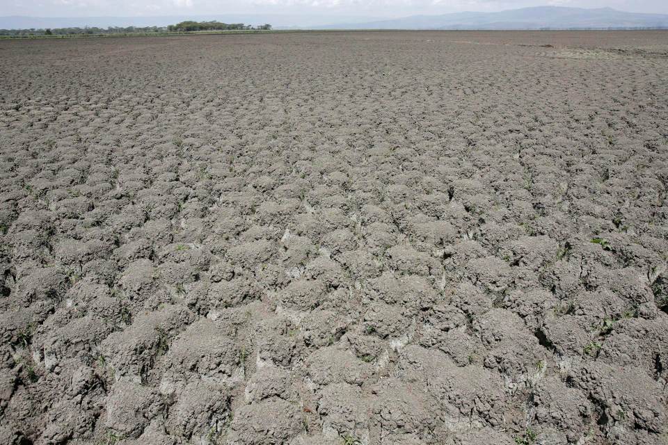 La COP17 cierra sin pacto de sequía, pero moviliza 1.300 millones de dólares
