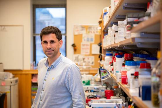 Un sistema de IA es capaz de diseñar, acelerar y optimizar nuevos antibióticos