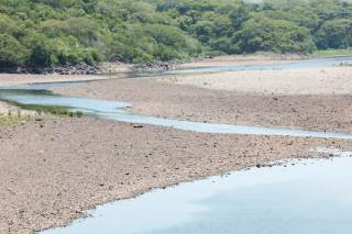 El Niño se intensificará hasta ser muy fuerte, alerta la mayor autoridad sobre el clima