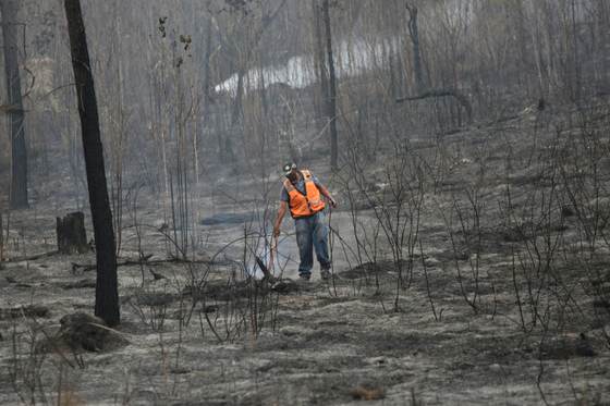 Honduras conmemora Día de la Tierra entre la "emergencia" climática y llamados a adaptarse