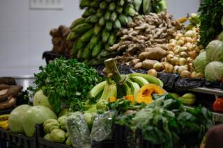 ONG exigen que México cumpla con ley de alimentación adecuada y sostenible