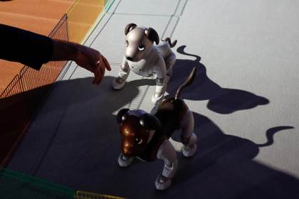 Sony pone fin a las ventas de su perro-robot Aibo en Japón