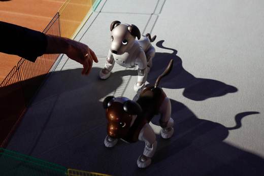 Sony pone fin a las ventas de su perro-robot Aibo en Japón
