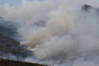 Incendios forestales en Europa podrían duplicarse antes de acabar el siglo, según estudio