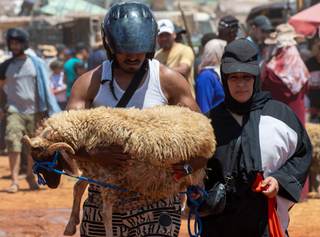 Regresa el bullicio de la fiesta del cordero a Marruecos tras un año de suspensión
