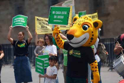 Greenpeace lanza ruta del jaguar para alertar de la destrucción de la Selva Maya en México