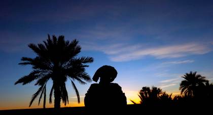 El exceso de CO2 en la atmósfera favorece la expansión de plantas leñosas en el Sahara