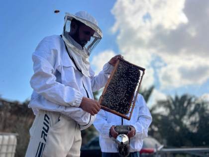 La lucha de un apicultor gazatí para salvar a sus abejas: "Se fueron; no hay árboles"