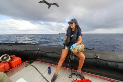 Una ecuatoriana premiada en Londres por su labor en la protección de aves en las Galápagos