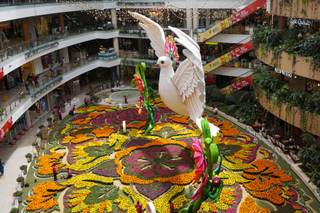 Una paloma gigante adorna a Medellín en el tapete de flores naturales más grande del mundo