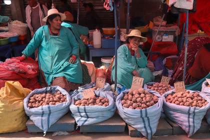 Bolivia encara el reto de recomponer economía y diálogo social tras 50 días de protestas