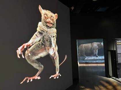 La National Geographic recibe a los exploradores del mundo en un nuevo y moderno museo