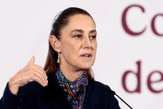 Ministerio de Cultura de México niega que Colección Gelman sea propiedad de Santander