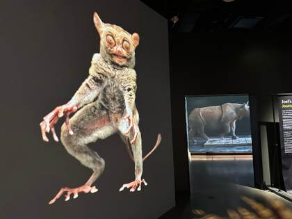 La National Geographic recibe a los exploradores del mundo en un nuevo y moderno museo