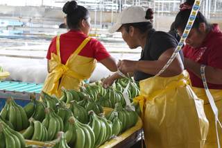 "La pasamos mal": trabajadores bananeros recuperan empleos tras crisis sindical en Panamá