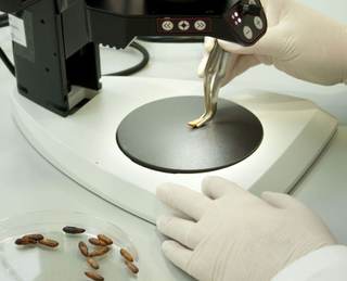 México arriesga competitividad por fuga de mujeres en carreras STEM, revela estudio