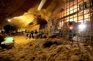 Las interacciones sexuales entre sapiens y neandertales esculpieron nuestro ADN, y el suyo