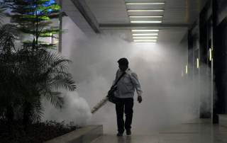 El ambiente y la especie de mosquito determinan la circulación de la malaria