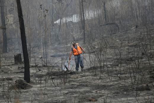 Honduras conmemora Día de la Tierra entre la "emergencia" climática y llamados a adaptarse