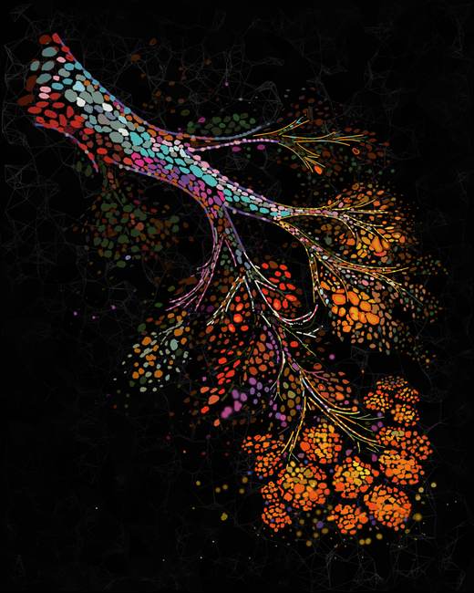 Desvelan por qué el riesgo de cáncer de mama aumenta tras la menopausia