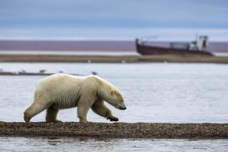 La ruta marítima ártica, foco de tensión también para el medioambiente