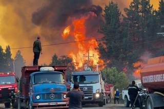 ¿Cómo salvar los bosques de la Patagonia de los súper incendios y el cambio climático?