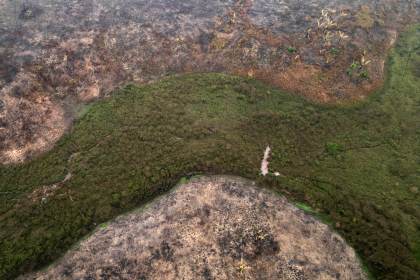 Expertos elaboran una ley modelo de armonización del delito de ecocidio en Latinoamérica