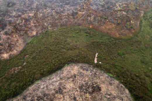 Expertos elaboran una ley modelo de armonización del delito de ecocidio en Latinoamérica