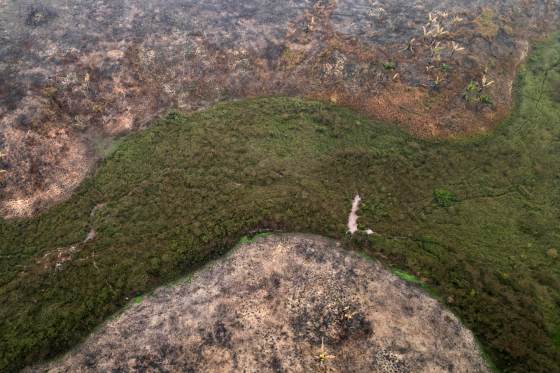 Expertos elaboran una ley modelo de armonización del delito de ecocidio en Latinoamérica