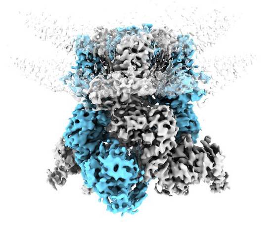 Científicos logran que deje de ser un misterio cómo percibe el cuerpo el frío