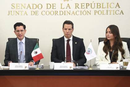 El Senado de México ratifica a Roberto Velasco como nuevo canciller del país