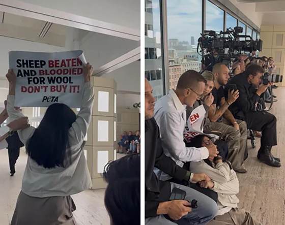 Director de gremio de moda de EE.UU. pide disculpas por agredir a animalistas en desfile